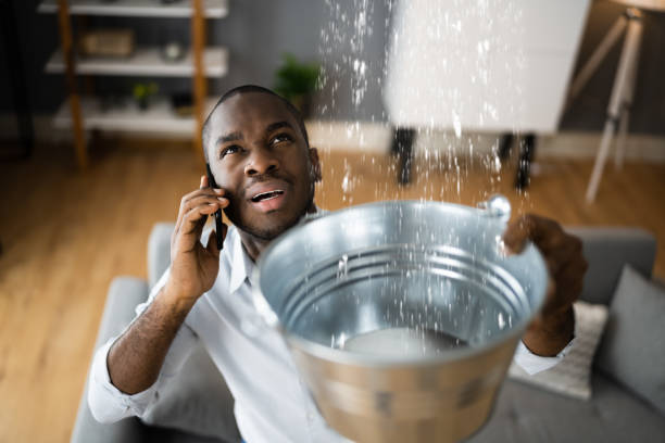 Best Water damage cleanup near me  in Franklin, OH