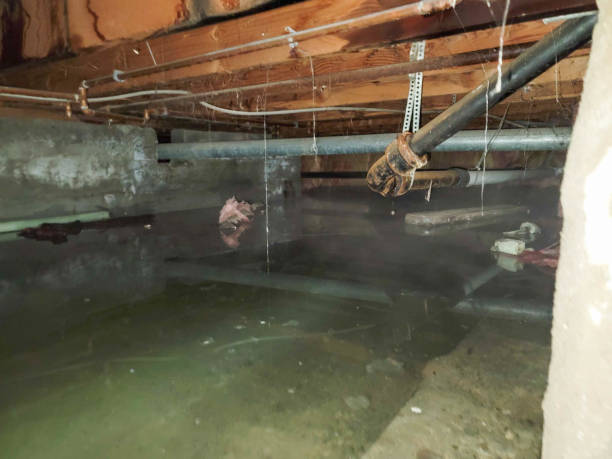 Best Water damage restoration mold remediation  in Franklin, OH