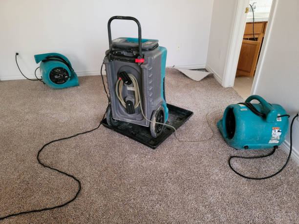 Best Flooded house restoration  in Franklin, OH