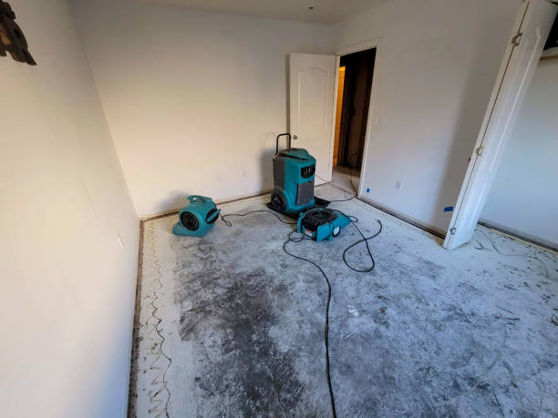 Best Local water damage restoration  in Franklin, OH