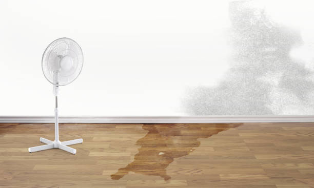 Best Flood damage cleanup  in Franklin, OH