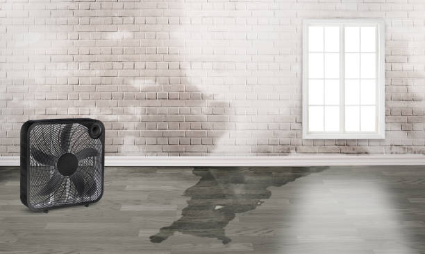 Best Ceiling water damage repair  in Franklin, OH