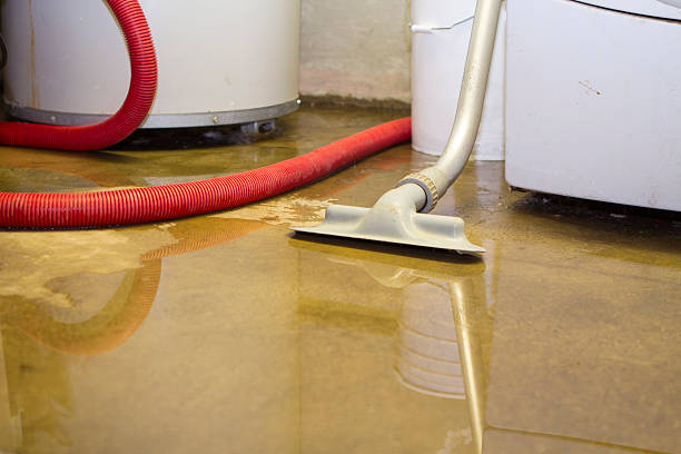 Best Fire Damage Restoration  in Franklin, OH