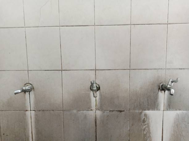 Best Professional water damage repair  in Franklin, OH