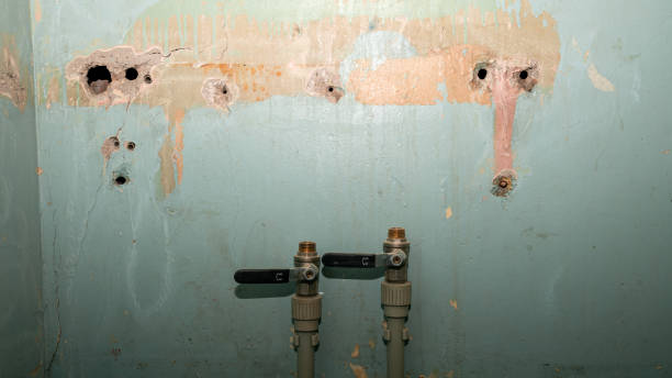  Franklin, OH Water damage restoration Pros