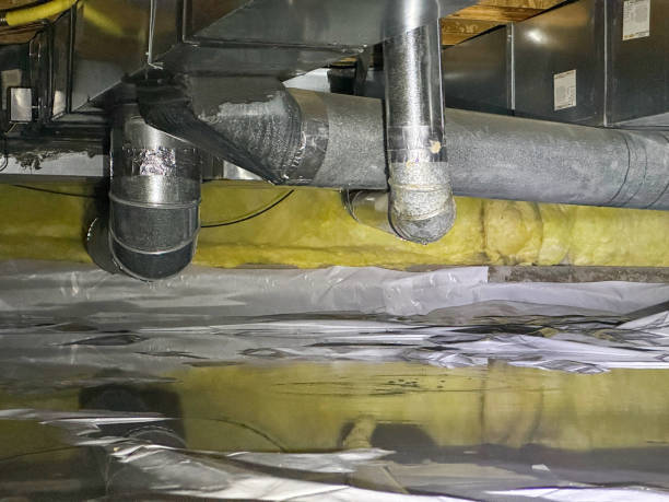 Best Sewage cleanup and water damage restoration  in Franklin, OH