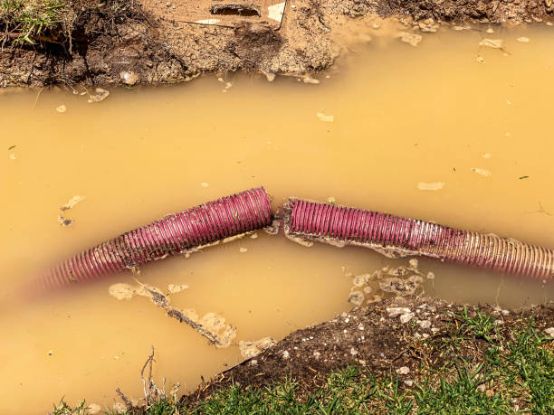 Best Water damage restoration process  in Franklin, OH