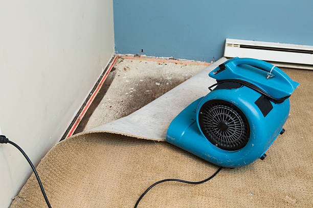 Best Residential water damage restoration  in Franklin, OH